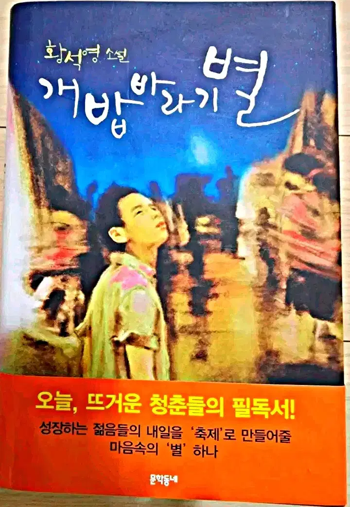 황석영 개밥바라기 별 소설 책 도서